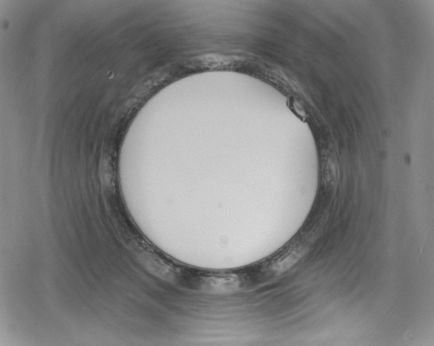 X0000078830317200612111526