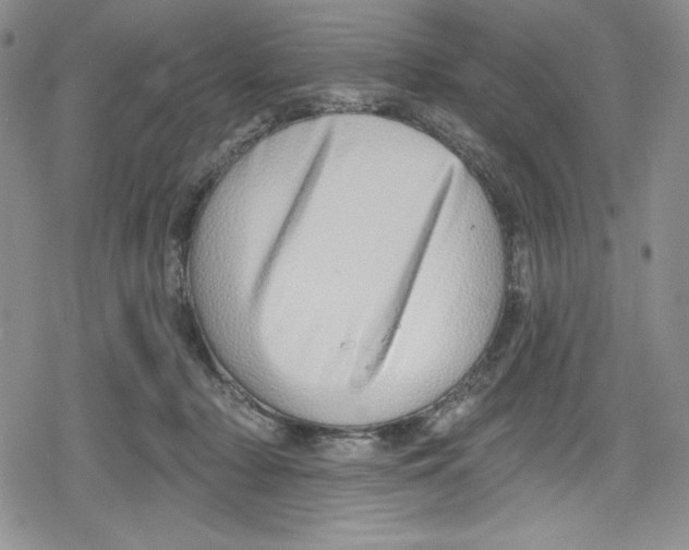 X0000078830318200612111526