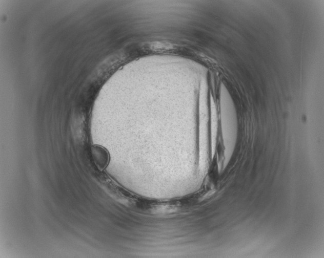 X0000078830319200612111526