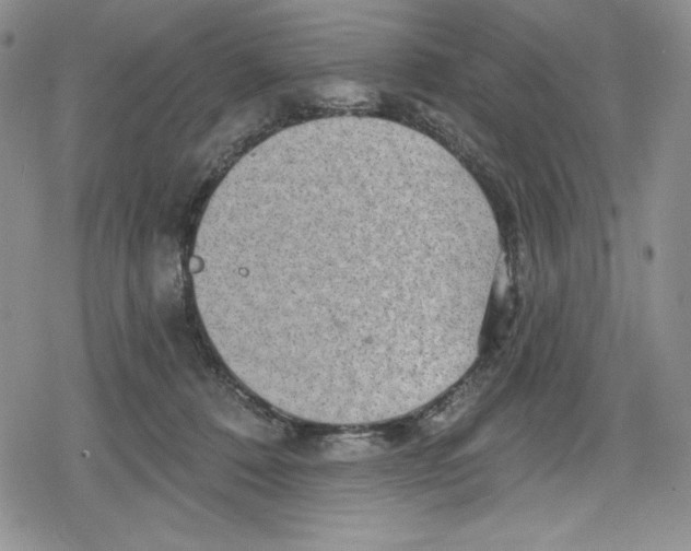 X0000078830320200612111526