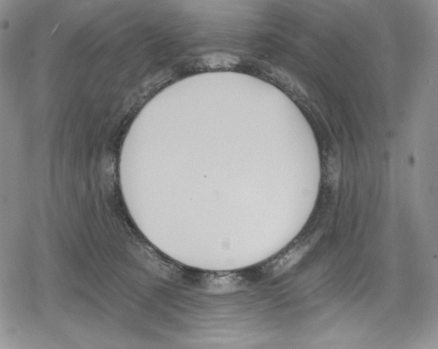 X0000078830321200612111526