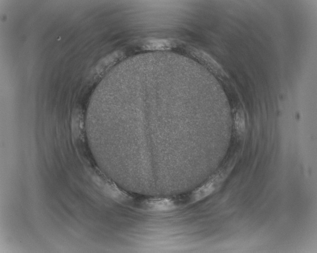 X0000078830322200612111526