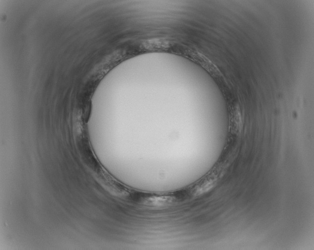 X0000078830323200612111526