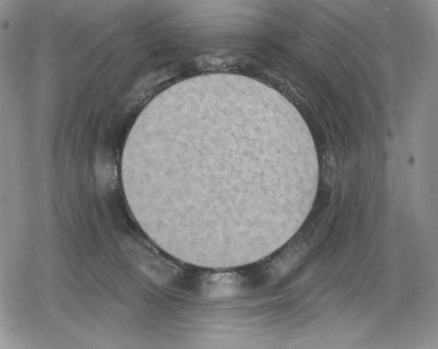 X0000078830324200612111526