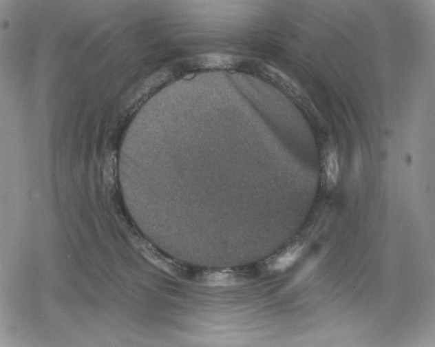 X0000078830325200612111526