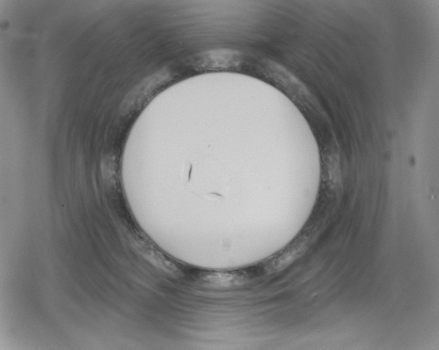 X0000078830326200612111526