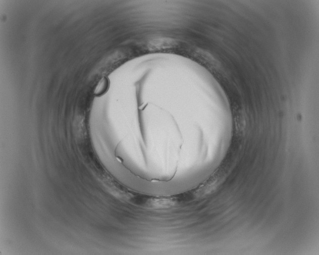 X0000078830327200612111526