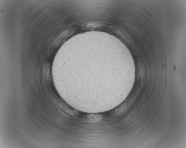 X0000078830328200612111526