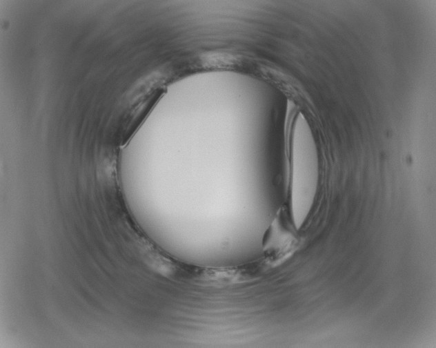 X0000078830329200612111526