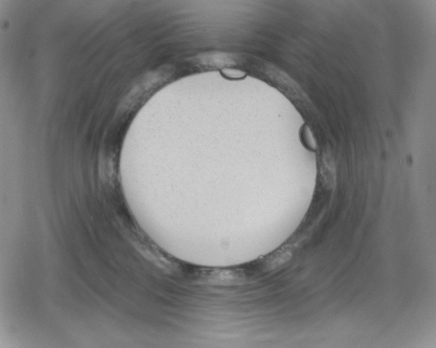 X0000078830330200612111526