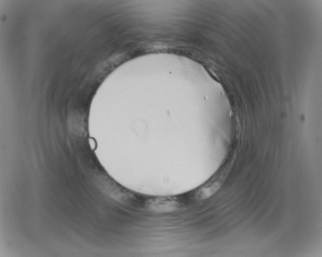 X0000078830331200612111526