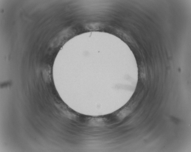 X0000078830332200612111526