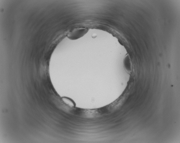 X0000078830333200612111526