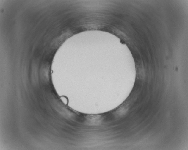 X0000078830334200612111526