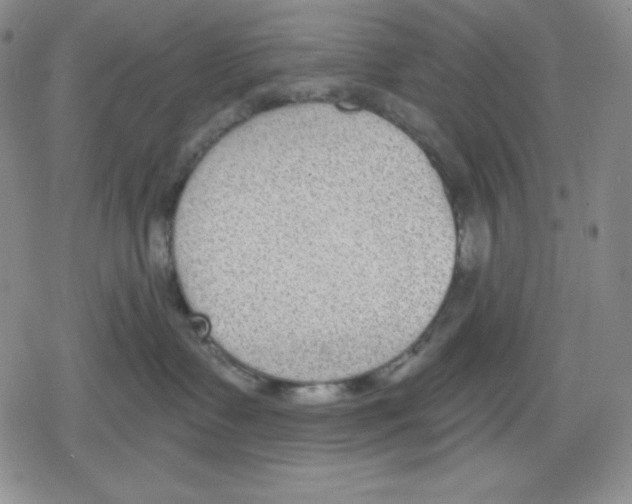 X0000078830335200612111526