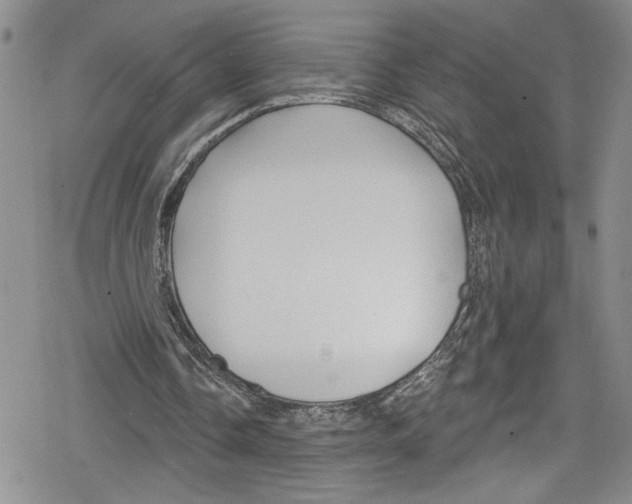 X0000078830338200612111525