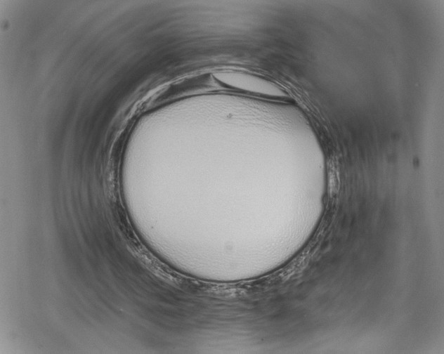 X0000078830339200612111525