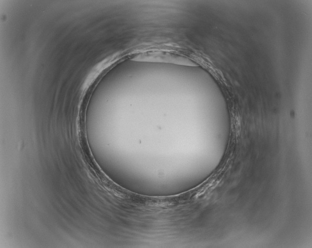 X0000078830340200612111525