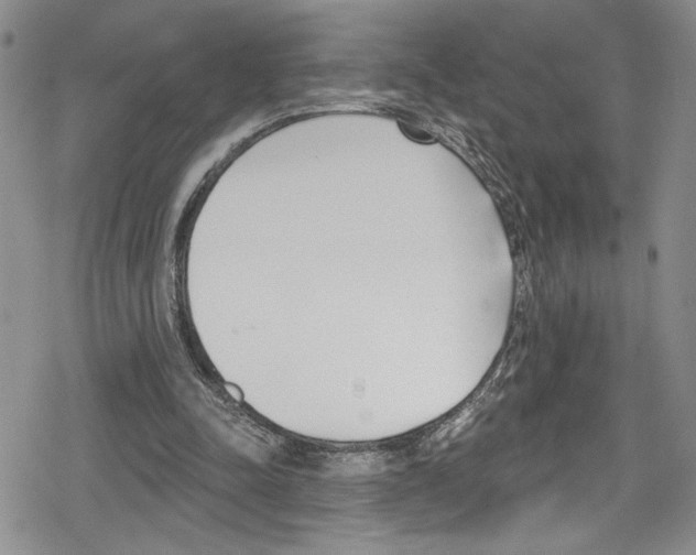 X0000078830342200612111525