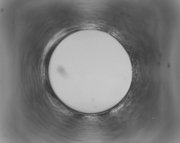 X0000078830343200612111525