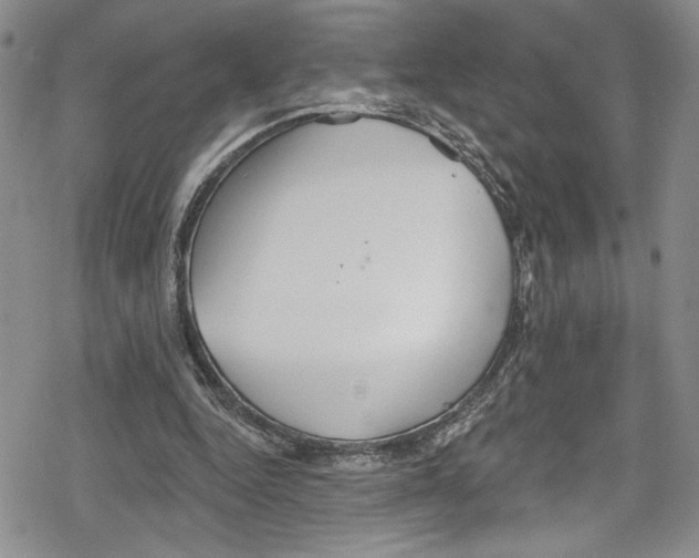 X0000078830344200612111525