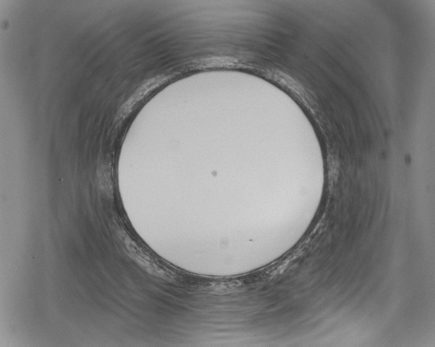 X0000078830345200612111525