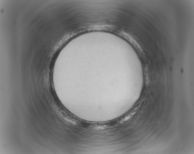 X0000078830346200612111525