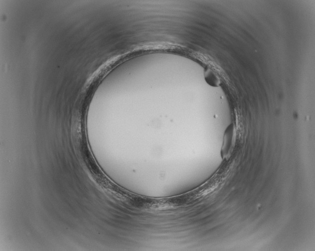 X0000078830348200612111525