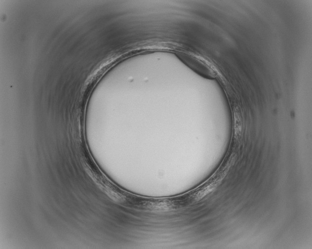 X0000078830349200612111525