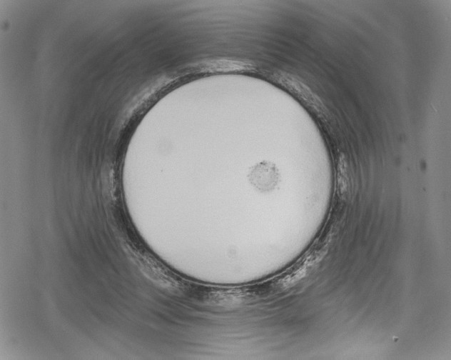 X0000078830351200612111525