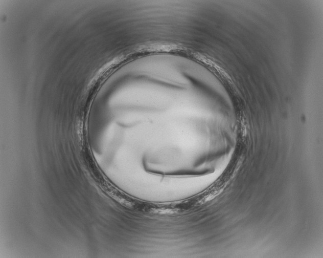 X0000078830352200612111525