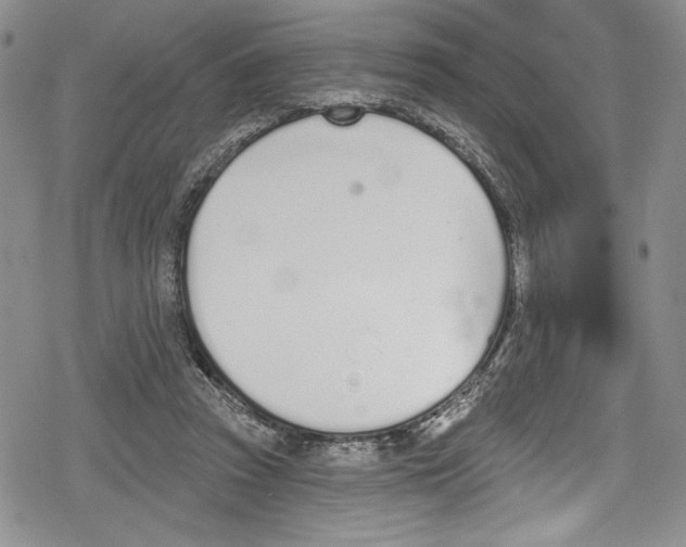 X0000078830353200612111525