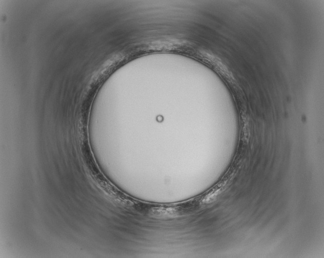 X0000078830354200612111525