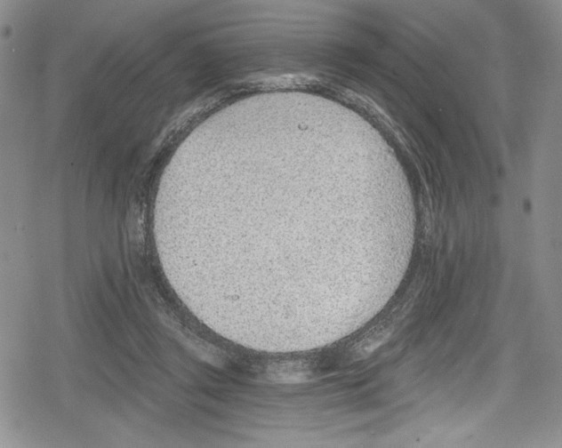 X0000078830357200612111525