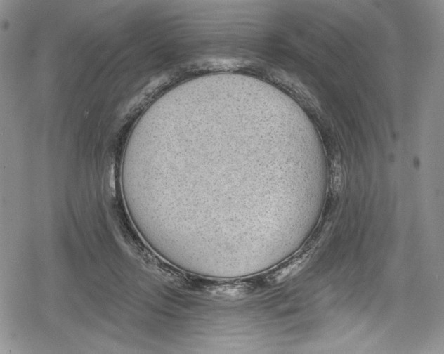 X0000078830358200612111525