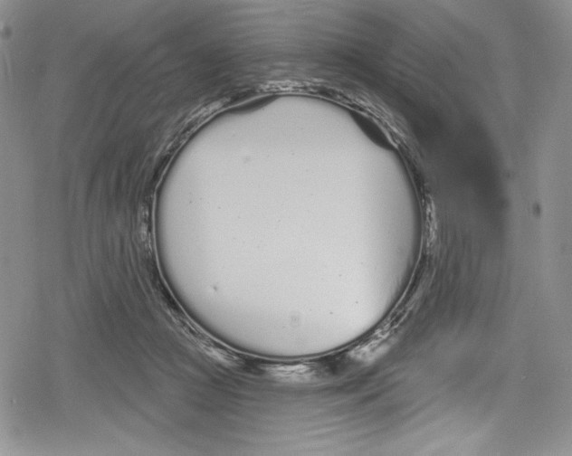 X0000078830361200612111525