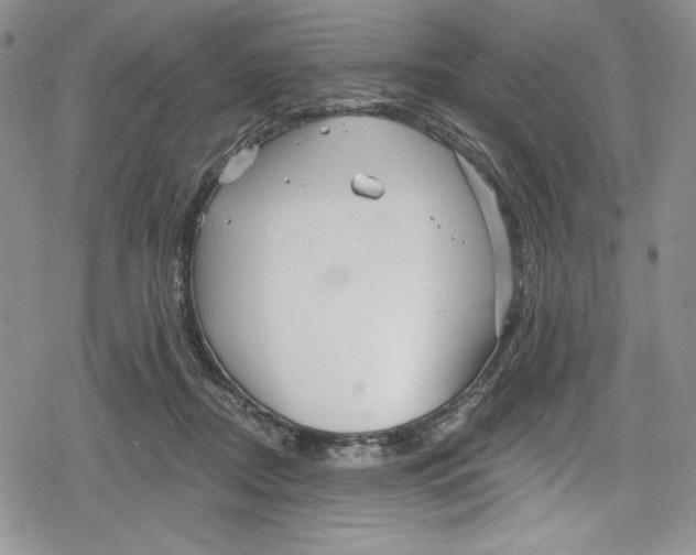 X0000078830362200612111525