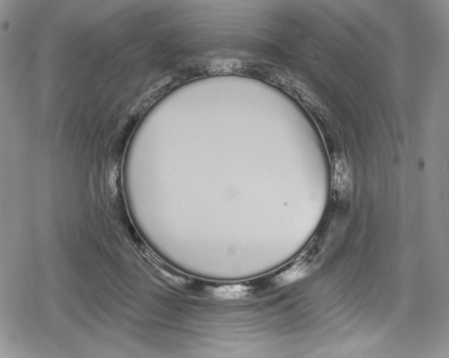 X0000078830363200612111525