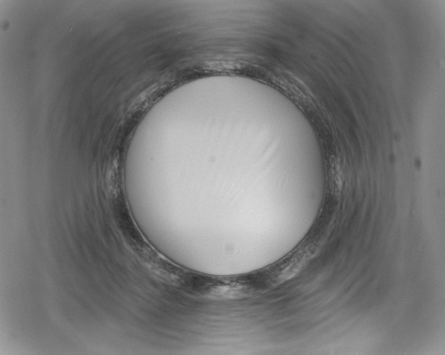 X0000078830364200612111525