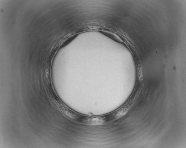 X0000078830365200612111525