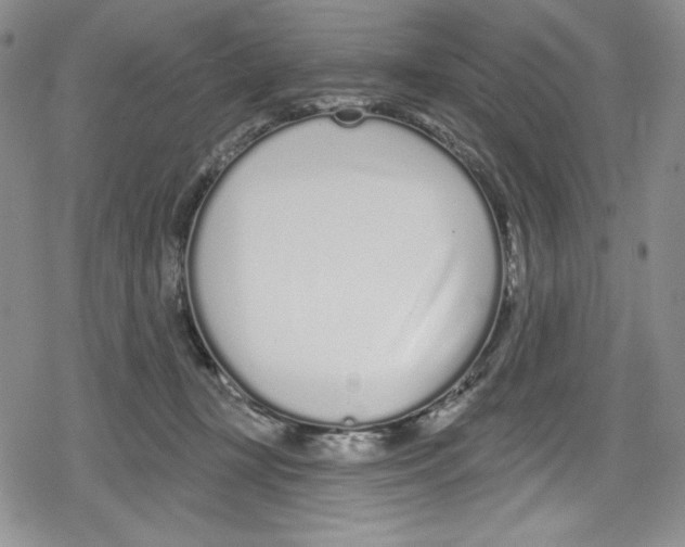 X0000078830367200612111525