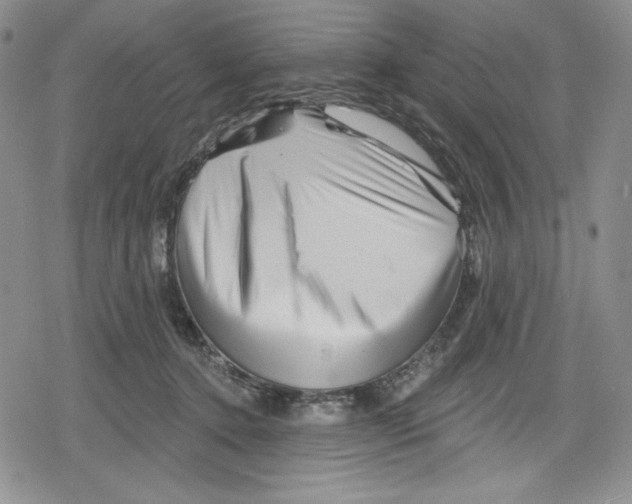 X0000078830368200612111525