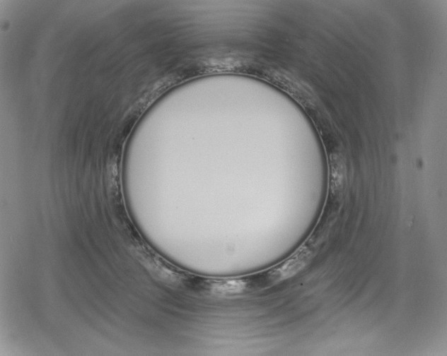 X0000078830369200612111525