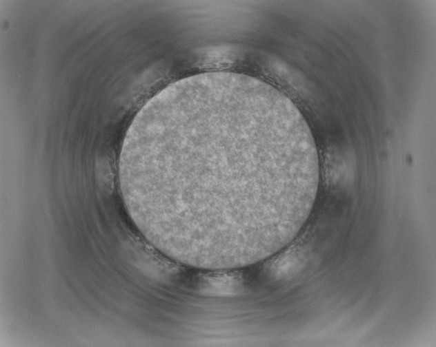 X0000078830370200612111525