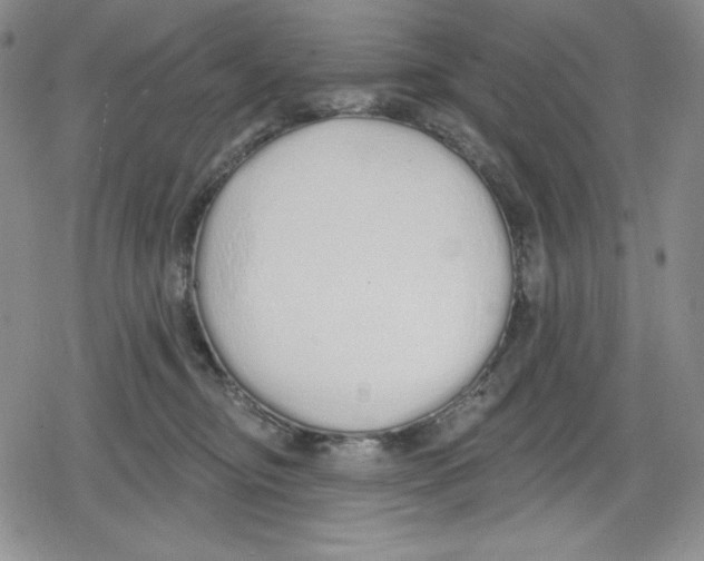 X0000078830374200612111525