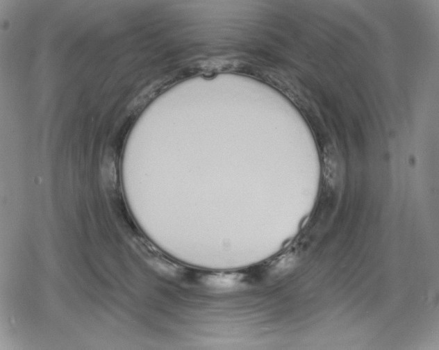 X0000078830375200612111525