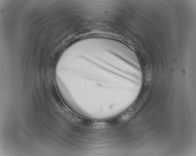 X0000078830376200612111525