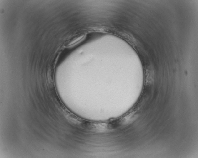 X0000078830377200612111526