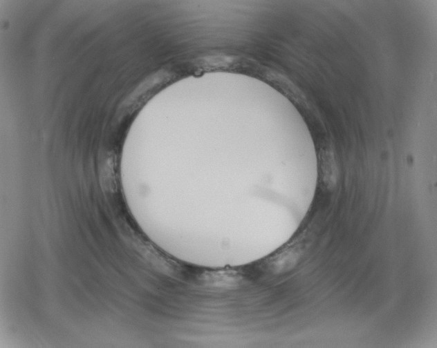 X0000078830378200612111526