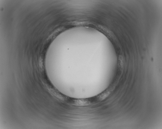 X0000078830380200612111526